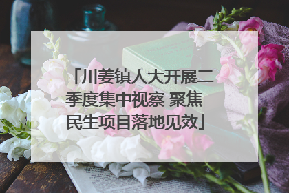 川姜镇人大开展二季度集中视察 聚焦民生项目落地见效
